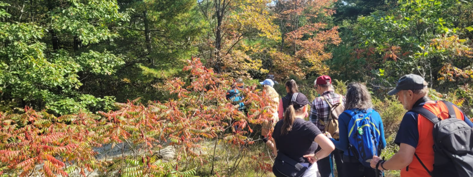 Hikers looking out at a scenic view